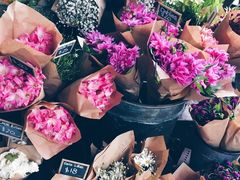 -The Grounds of Alexandria