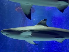 -沈阳海洋探索中心