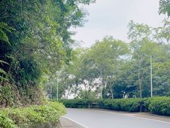 -火炉山森林公园
