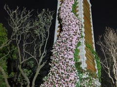 -翠湖公园