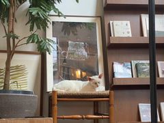 -自由生长植物工作室(深港花卉中心店)