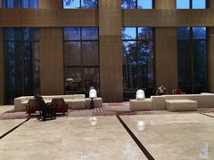 -上海宝华喜来登酒店·采悦轩中餐厅