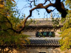 -灵谷景区