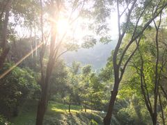 -火炉山森林公园