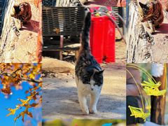 -北京西山国家森林公园