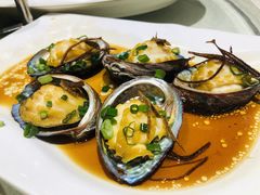 -强记海鲜·大排档(蛇口新街店)