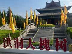 -大槐树寻根祭祖园