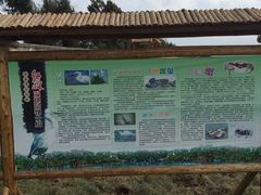 -北海金海湾红树林生态旅游区