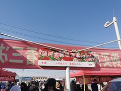 -蒲河大集
