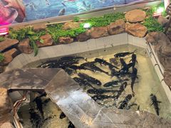 -春盛渔府(牛首山店)