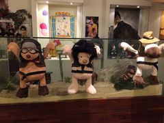 -济州岛泰迪熊博物馆