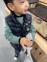 -Moni星球萌宠·小马宝莉·灵蛇·高端高阶全萌宠互动体验俱乐部(红豆国际广场店)