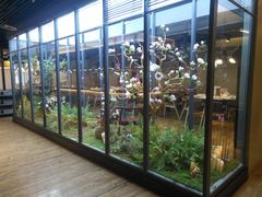 -拈菜(观音桥阳光世纪店)