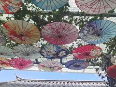 -海韵人家.海景花园经典云南菜(双廊店)