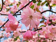 -城市运动公园(未央区)