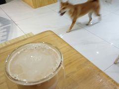 -柴源莊·柴小宠柴犬咖啡
