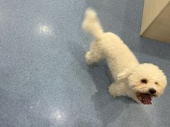 -佑安动物医院·全科·内窥镜中心(幸福巷店)