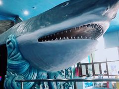 -多彩贵州城极地海洋世界