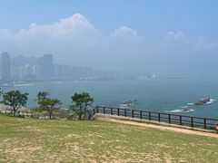 -小麦岛公园