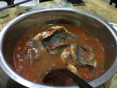 风鑫铃罗非鱼-风鑫铃罗非鱼(道沟店)