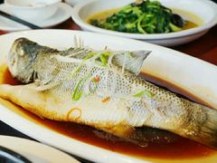清蒸鲈鱼-花园茶楼(兴城西路店)