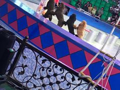 -云幽谷旅游区