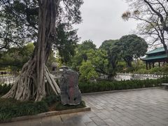 -柳侯公园