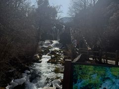 -九寨沟-树正沟