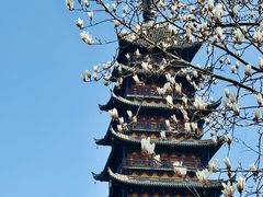-常熟方塔园