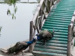 -南昌动物园