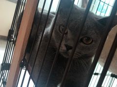 -iF摄影•全家福•证件照•形象照(南山店)