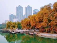 -青城公园