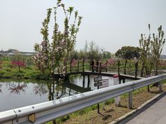 -嘉北郊野公园
