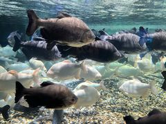 -成都浩海立方海洋公园