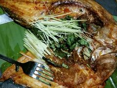 -云海肴·汽锅鸡·云南菜(天津国金汇店)