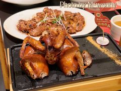-羽鸽集·乳鸽专门店·地道顺德菜(岭南站店)