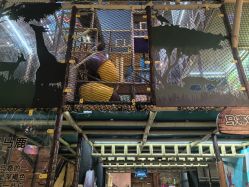 -卡通尼·Safari非洲探索乐园·生日会(金桥国际商业广场店)