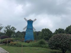 -铁山坪森林公园