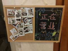 -Catmate·猫肥家润(金润铂宫店)