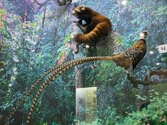 -国家自然博物馆