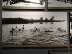 -铁道游击队纪念馆