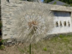 -御景山温泉花园酒店