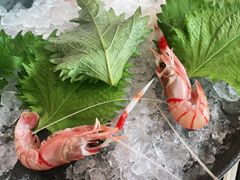 -Mr·Fish鱼鲜生海鲜放题(银泰in99店)