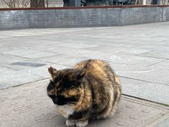 -北京鲁迅博物馆(北京新文化运动纪念馆鲁博馆区)