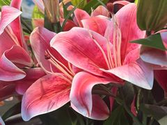 -上海1号私藏菜(黄浦店)