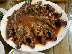 -金台阶鱼馆(于桥水库店)