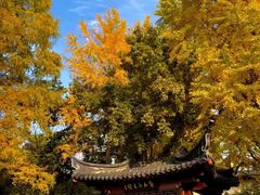 -郑和公园