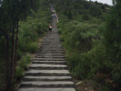 -十渡高山漂流