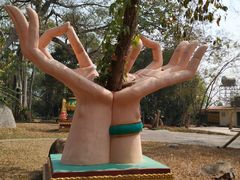 -瑞丽独树成林风景区