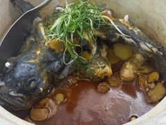 姜母龙胆斑-鑫鸿达·海鲜闽菜热炒小馆(中山路店)